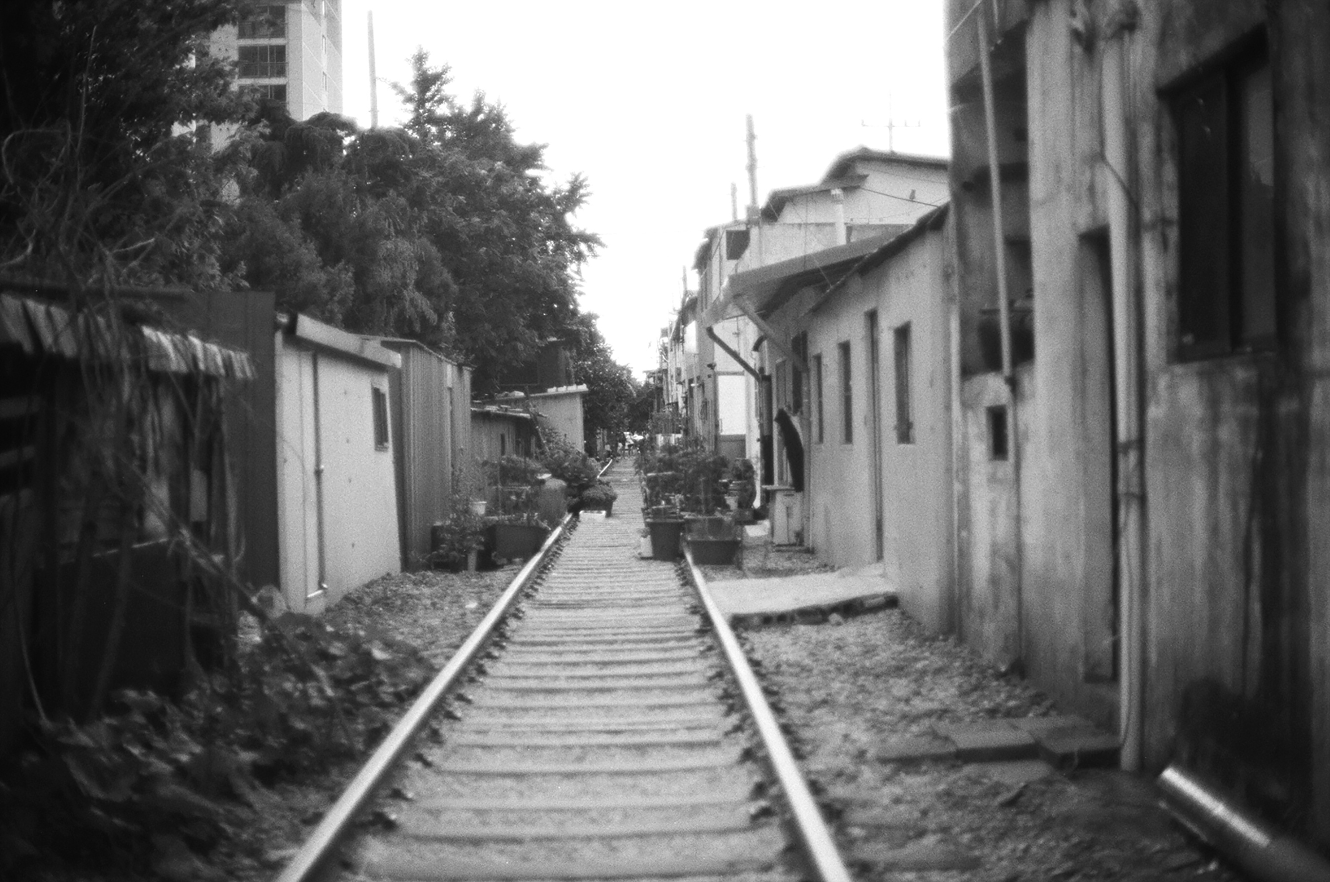 Railroad black and white film photography